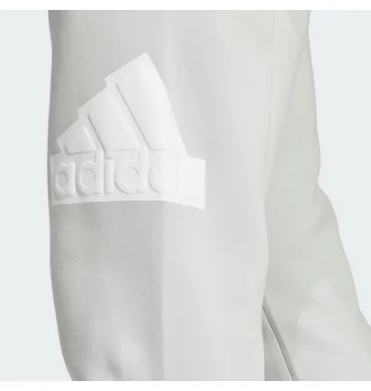 Штаны мужские Adidas Future Icons Badge Of Sport Sportswear Grey IJ6402