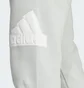 Штаны мужские Adidas Future Icons Badge Of Sport Sportswear Grey IJ6402