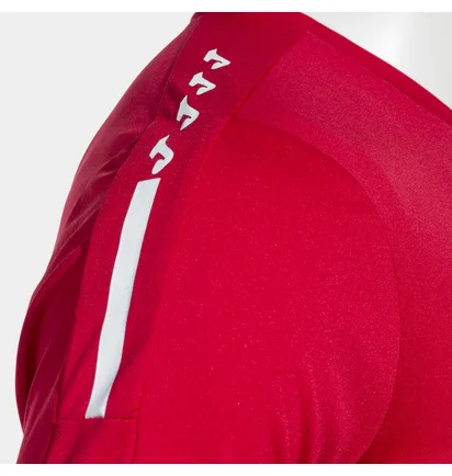 Футболка чоловіча Joma Olimpiada Short Sleeve T-Shirt Red 103245.600