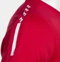 Футболка чоловіча Joma Olimpiada Short Sleeve T-Shirt Red 103245.600