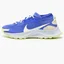 Кросівки жіночі Nike Pegasus Trail 3 Gtx Blue DC8794-400