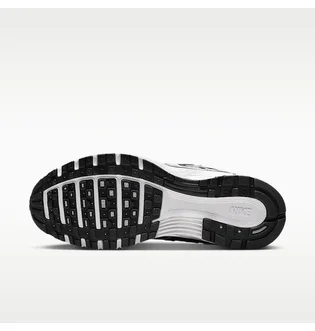 Кросівки жіночі Nike P-6000 WomenS Shoes Metallic/Black BV1021-013