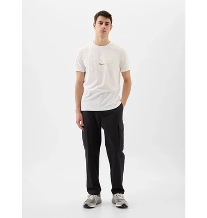 Футболка мужская Gap V-Logo Orig Arch White 471777-08