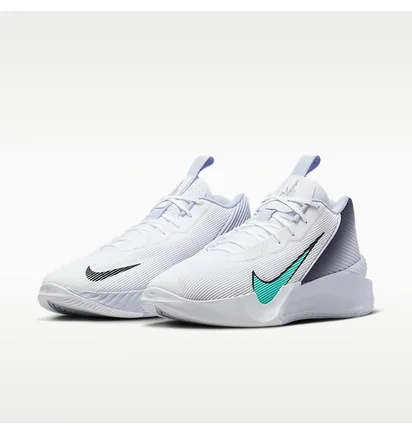 Кроссовки мужские Nike Gt Jump Academy White/Violet FV5524-101