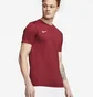 Футболка мужская Nike Park Vii Bordo Bv6708-677