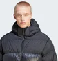 Пуховик мужской Adidas Adicolor Down Regen Hooded Puffer Black IL2572