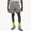 Шорты мужские Air Jordan M J Jmpmn Flc Short Grey Dm3009-091