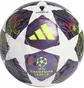 Футбольный мяч Adidas Ucl Pro Sala Multi JX9102