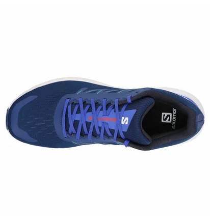 Кросівки чоловічі Salomon Spectur Running Shoes Blue L41589900