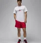 Футболка мужская Air Jordan Stretch T-Shirt White HQ1893-100