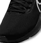 Кросівки жіночі Nike Air Zoom Pegasus 39 Black Dh4072-002