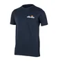 Футболка мужская Ellesse Voodoo Tee Black SHB06835-429