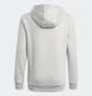 Худи детское Adidas Essentials Sportswear Grey GN4019