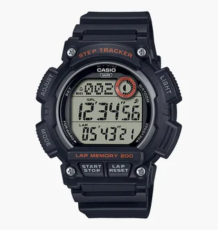 Часы мужские Casio Timeless Collection WS-2100H-1A