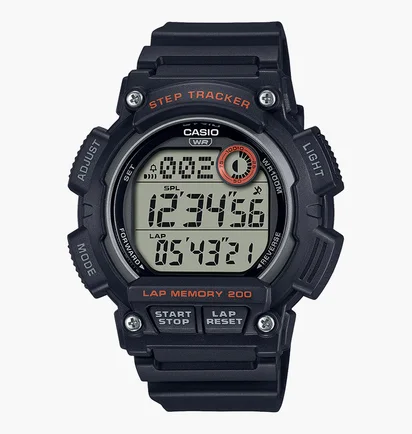 Часы мужские Casio Timeless Collection WS-2100H-1A