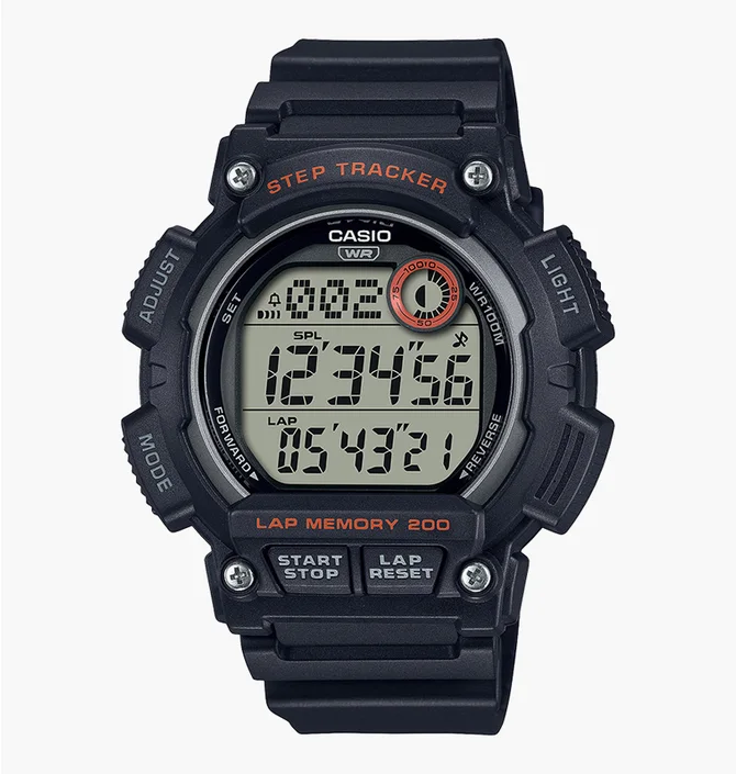 Часы мужские Casio Timeless Collection WS-2100H-1A
