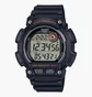 Часы мужские Casio Timeless Collection WS-2100H-1A