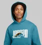 Худи мужское Air Jordan M J SPRT DNA HBR FLC PO DC9639-415