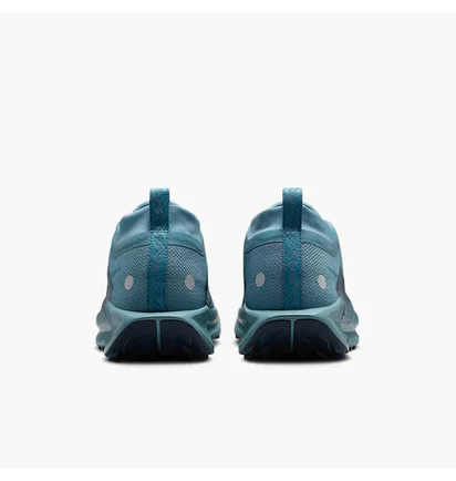 Кросівки чоловічі Nike Pegasus Trail 5 Gtx Blue FQ0908-005