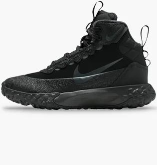 Кроссовки детские Nike Terrascout Black IH7683-001