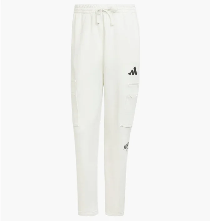 Штаны мужские Adidas All Szn Fleece Graphic Loose Sportswear White JJ3664