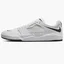 Кросівки чоловічі Nike Sb Ishod Wair Premium White Dz5648-101