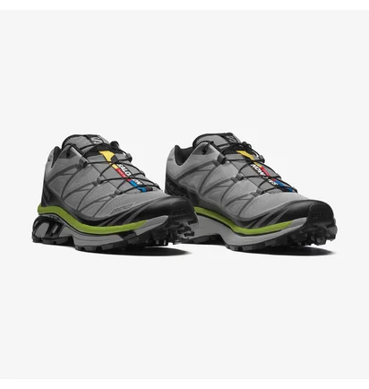 Кроссовки мужские Salomon Xt-6 Grey L47739000