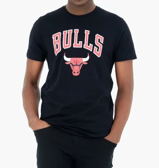 Футболка чоловіча NEW ERA Nos Nba Regular Tee Bulls Black 60416749