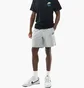 Шорти чоловічі Nike Club Knit Grey IM1440-063