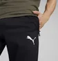 Штаны мужские Puma Evostripe Wam Black 849921-01