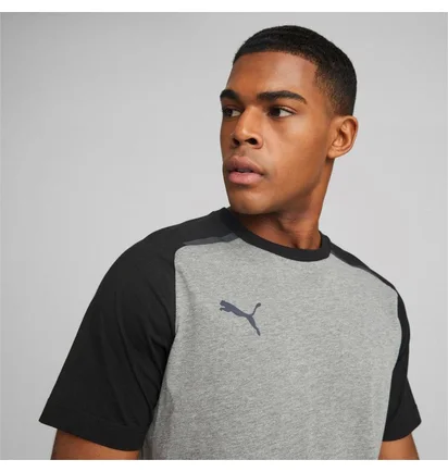 Футболка мужская Puma Teamcup Casuals Tee Grey 657992-13