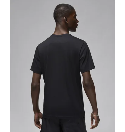 Футболка мужская Air Jordan Brand Logo Stack Black FN6027-010