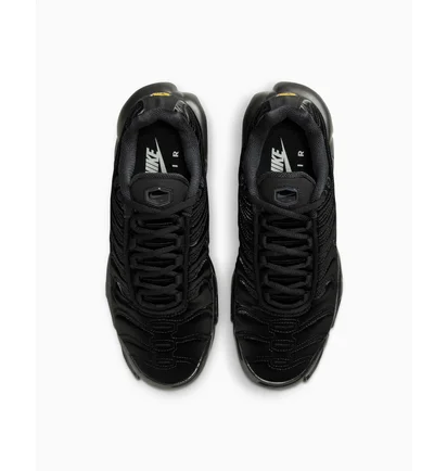 Кросівки жіночі Nike Air Max Plus Black Anthracite Black FV1169-001