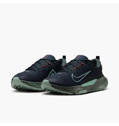 Кросівки чоловічі Nike Juniper Trail 2 Gtx V2 Blue HM9734-302