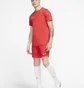Футболка чоловіча Nike M Df Park Vii Jsy Ss Red Bv6708-657