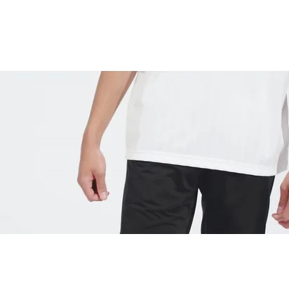 Футболка чоловіча Adidas Adicolor White IM9459