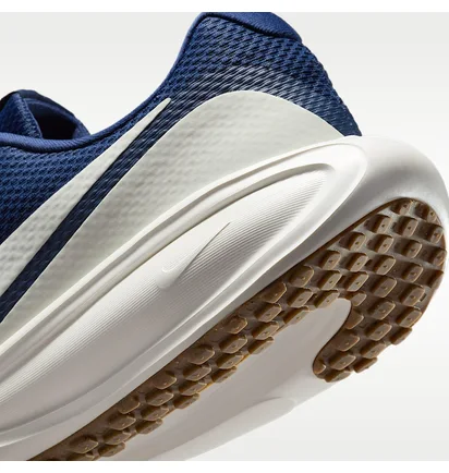 Кросівки чоловічі Nike Revolution 8 Blue HJ9198-402