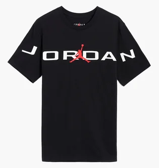 Футболка мужская Air Jordan T-Shirt Black HJ2358-010