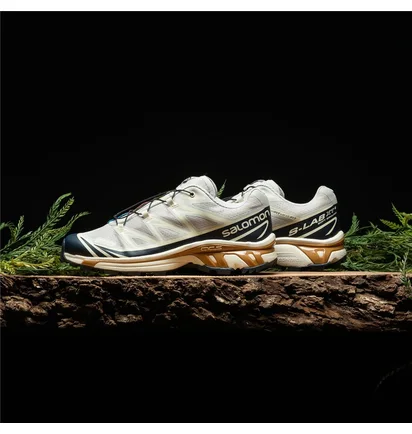 Кросівки чоловічі Salomon Xt-6 White L47136600