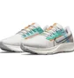 Кроссовки женские Nike AIR ZOOM PEGASUS 38 MFS DC4566-100