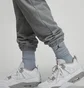 Штани чоловічі Air Jordan Sweatshirt Pants Grey Dm1400-091