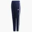 Штаны детские Adidas Tiro 19 Blue Dt5177