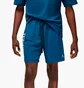 Шорты мужские Air Jordan Sport Bc Blue DM1815-493
