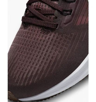 Кросівки жіночі Nike Air Zoom Pegasus 39 Claret Brown Dh4072-600