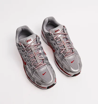 Кросівки чоловічі Nike P-6000 Metallic CD6404-024