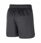 Шорти чоловічі Nike Brooklyn Nets Grey Dn8222-060