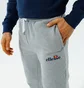 Штаны мужские Ellesse Granite Jog Pant Grey SHK12643-112