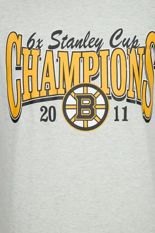 Футболка чоловіча 47 Brand Nhl Boston Bruins Backer White 619888CK-FS