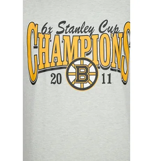 Футболка мужская 47 Brand Nhl Boston Bruins Backer White 619888CK-FS