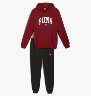 Спортивный костюм мужской Puma Squad Hooded Tracksuit Bordo/Black 681901-13